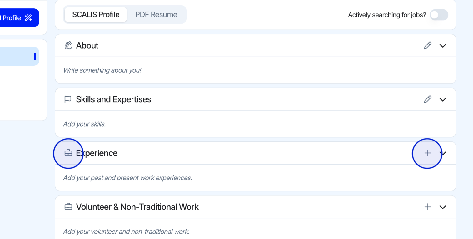 SCALIS profile Experience section showing the add entry button
